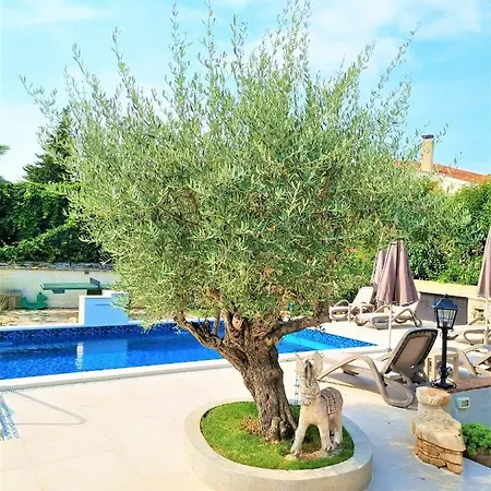 Apartment Engel With Pool *